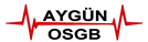 Ayg�n Osgb 